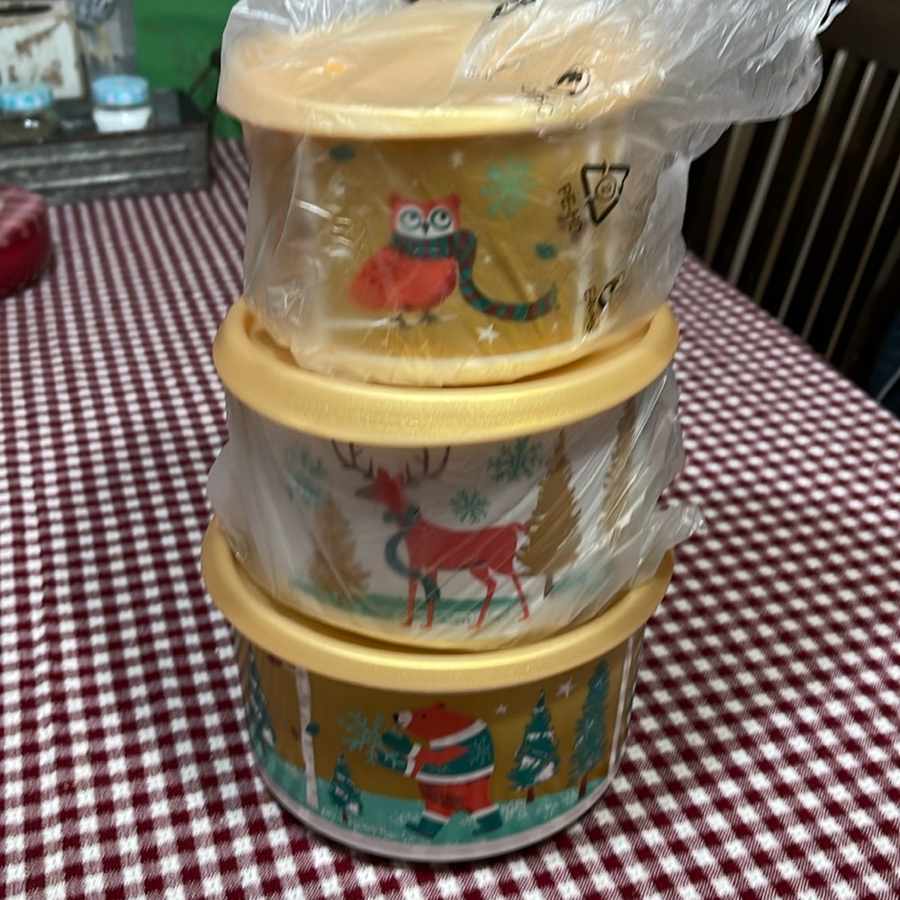 Snowfall Tupperware bowl set